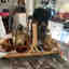 Customer photo 1 of 2