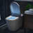 SANOXIS ADA Smart Bidet Toilet With Auto Open/Close Lid, ADA Comfort Height, MAP 1000 Tankless Bidet Wash, Heated Seat, 1.28 Gpf Auto Flush, Warm Wash/Dryer, Soft- Close, Deodorizer, And Remote Control