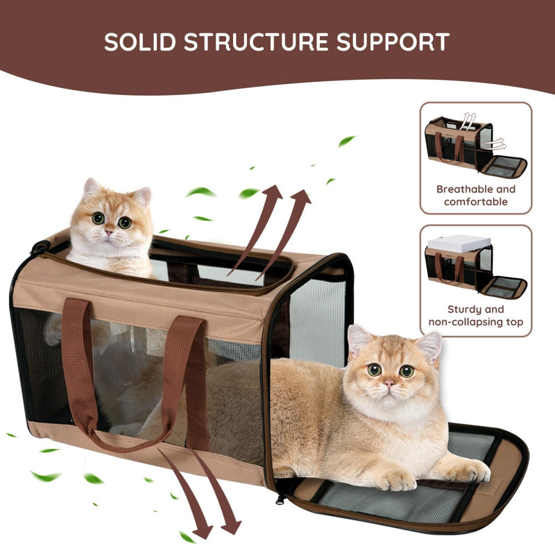 Pet Carrier, Hot Cacao