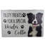 Border Collie Dog Treat Box Dempsey Decorative Box