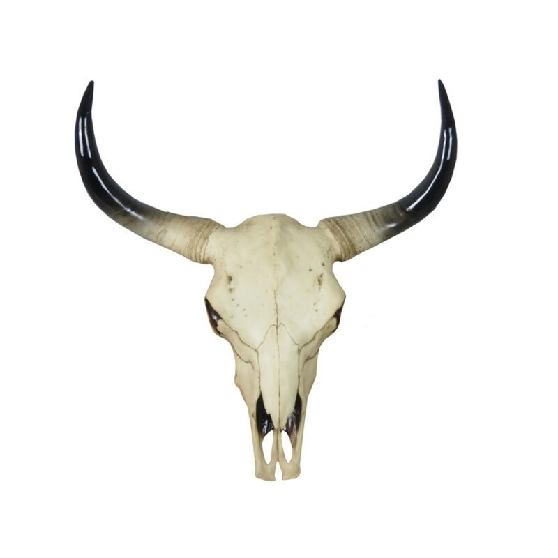Animals Wall Decor on Resin