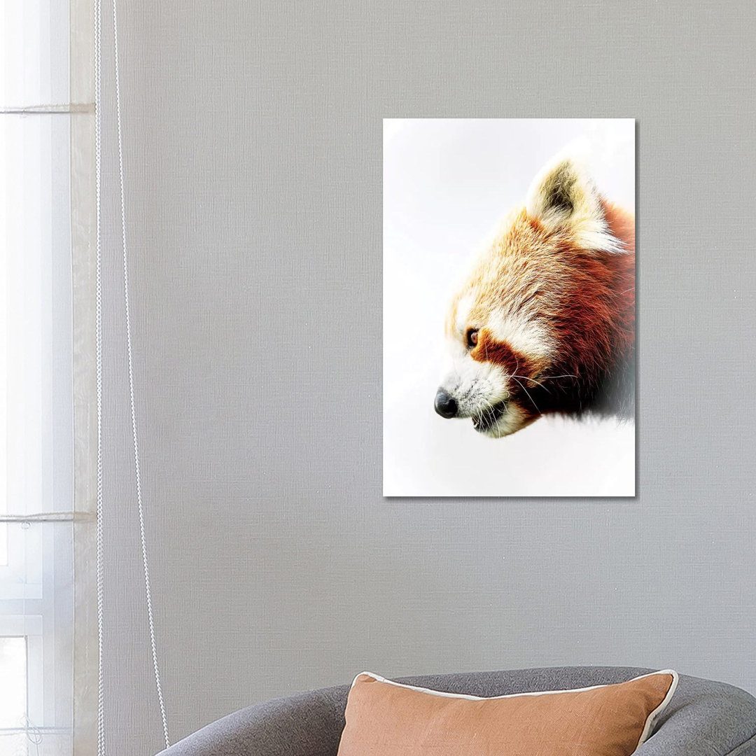 Roter Panda von David Whelan - Galerie-verpackte Leinwand Giclée auf Leinwand