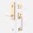 Satin Brass/Satin Nickel