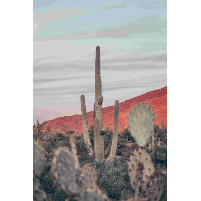 Sunsets And Saguaros II - par Nathan Larson, photographie sur toile tendue