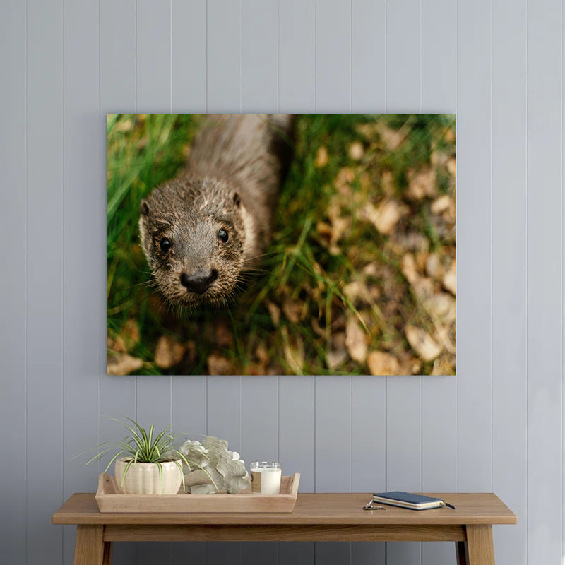 Head of Nutria, 8" H x 12" W