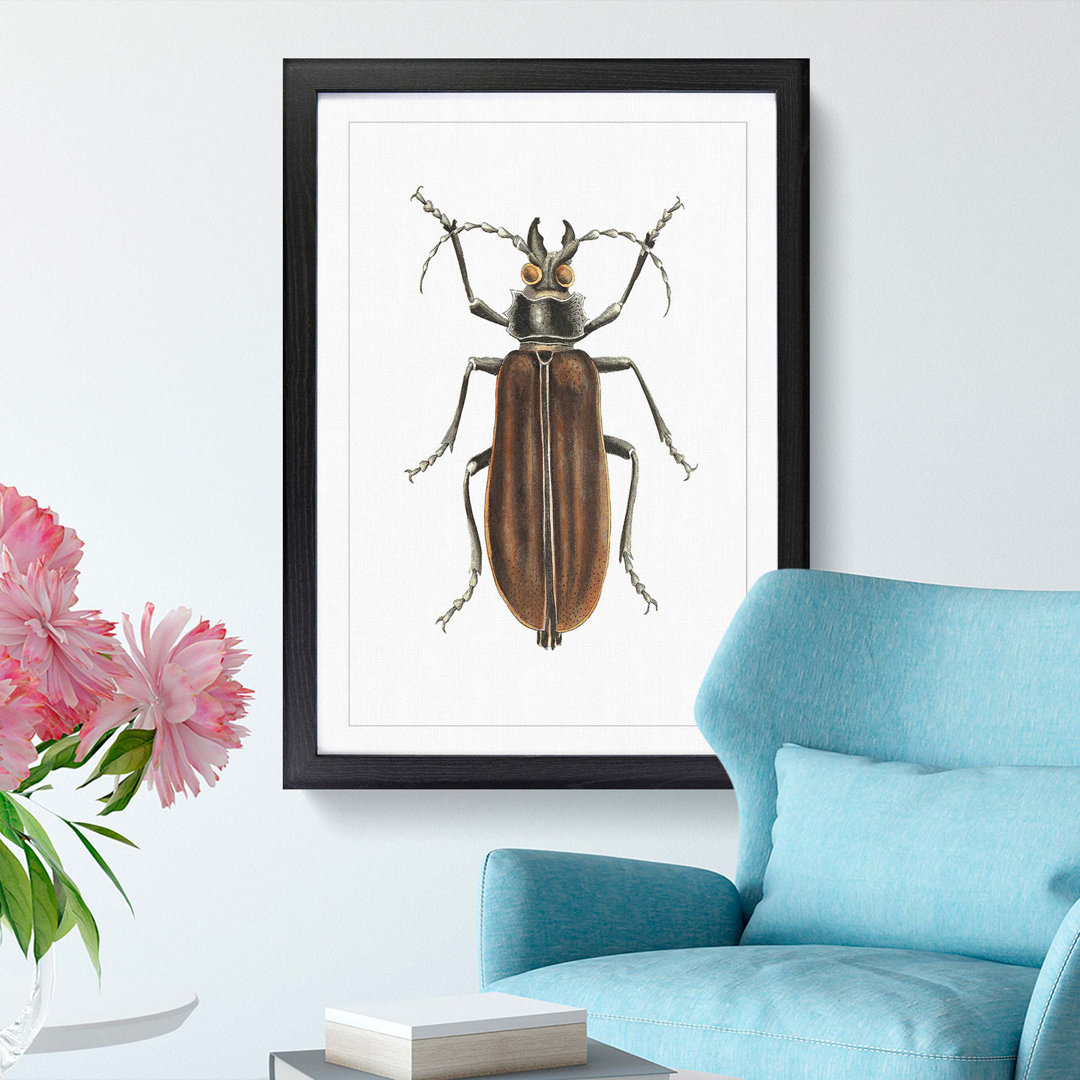 Beetle by George Shaw - Framed Print
