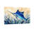 Animal Sailfish Swimming Through Seagrass Underwater Scene-880875521-880875520-880875526