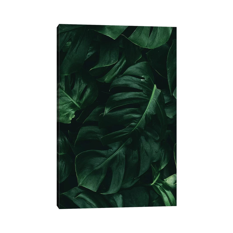 Leaf Green II by Dane Shue - Print on Canvas, Wrapped Canvas, 20.32 cm H x 30.48 cm W