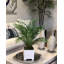 Akeyah Faux Palm Plant in Fiberstone Pot