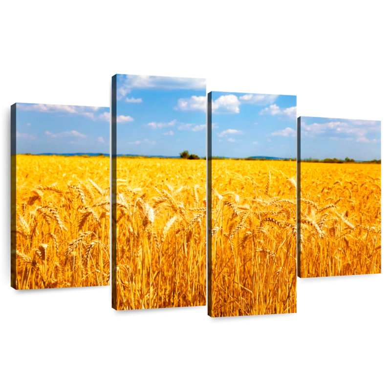Harnek Wheat Field Ready For Harvest, 54" H x 84" W