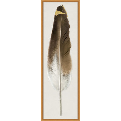 Feather 2 Print by Thom Filicia