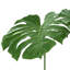 Tige de faux Philodendron