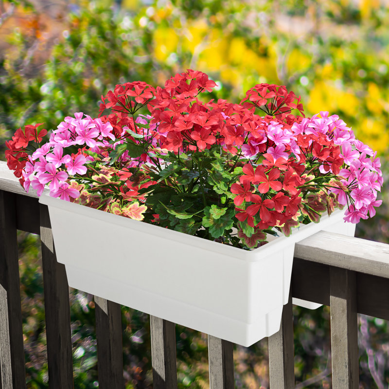 Lliwen Plastic Railing Planter, White, 1
