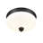Reichert Glass Flush Mount-40963418-40963416