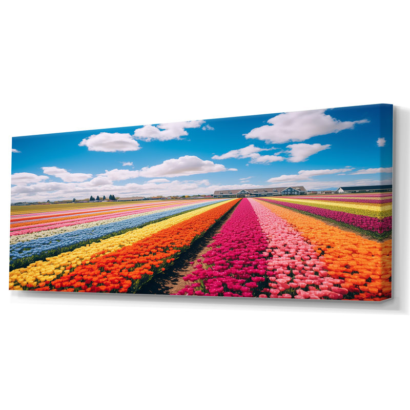 Champ de tulipes colorées II - art mural tulipe, Toile tendue, H 28 po x l 60 po x P 1,5 po