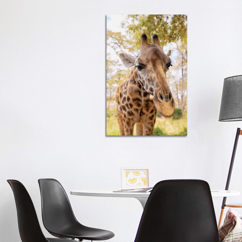 Curious Giraffe by Kathy Mansfield - Wrapped Canvas Gallery-Wrapped Canvas Giclée, 101.6 cm H x 66.04 cm W