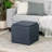 Ciocia Upholstered Storage Ottoman-244654915