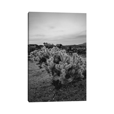 Cholla Cactus Garden IX 1 Piece Wall Art on Canvas