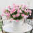 Rose est en rupture de stock