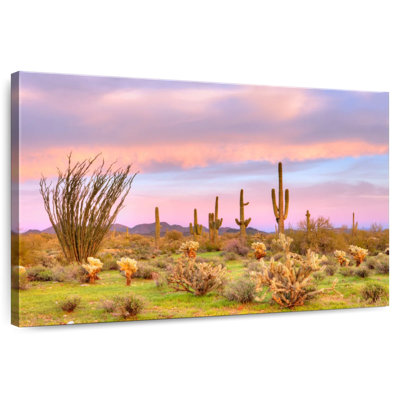 Sonoran Desert At Sunset