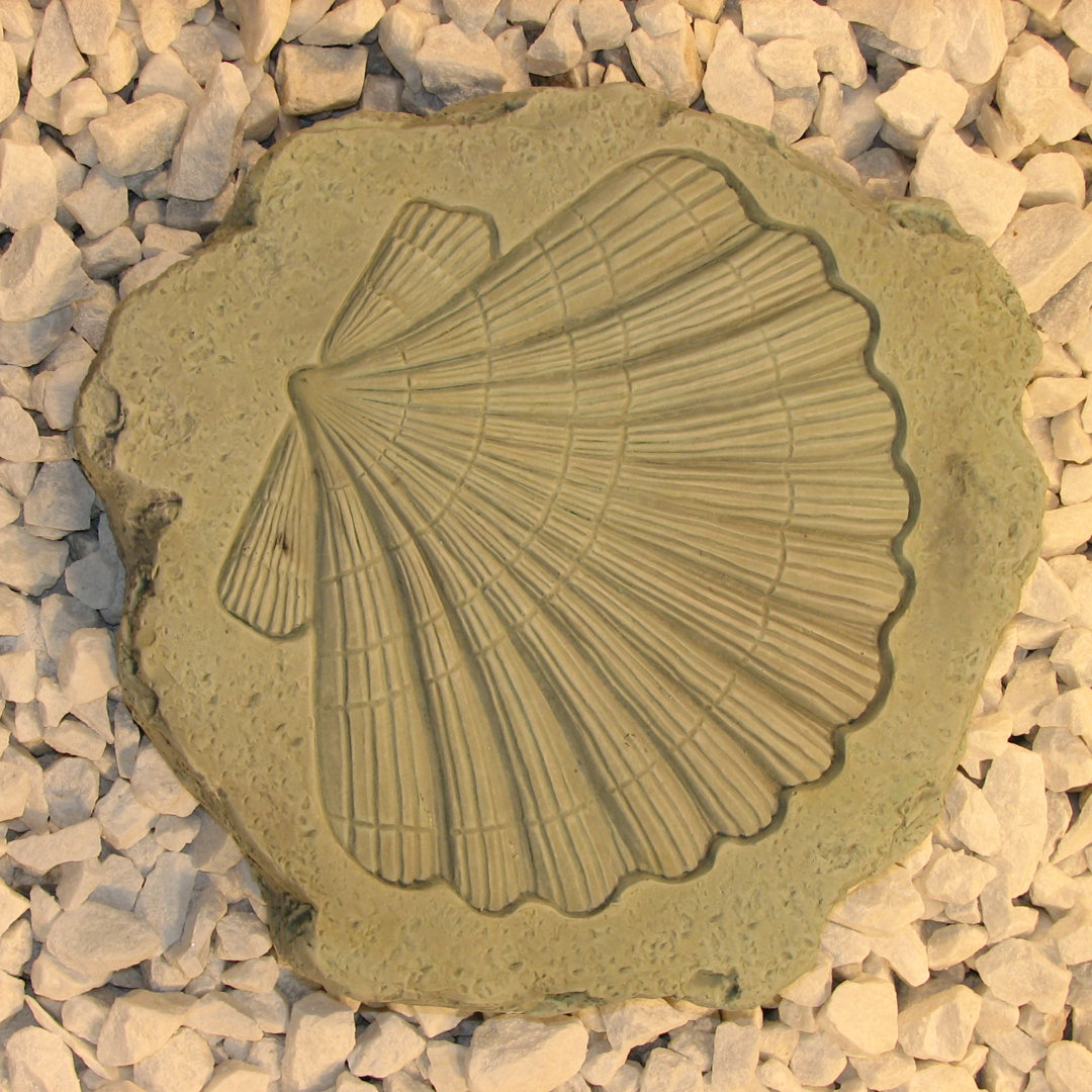 Shell Stepping Stone Nichols Bros. Stoneworks 