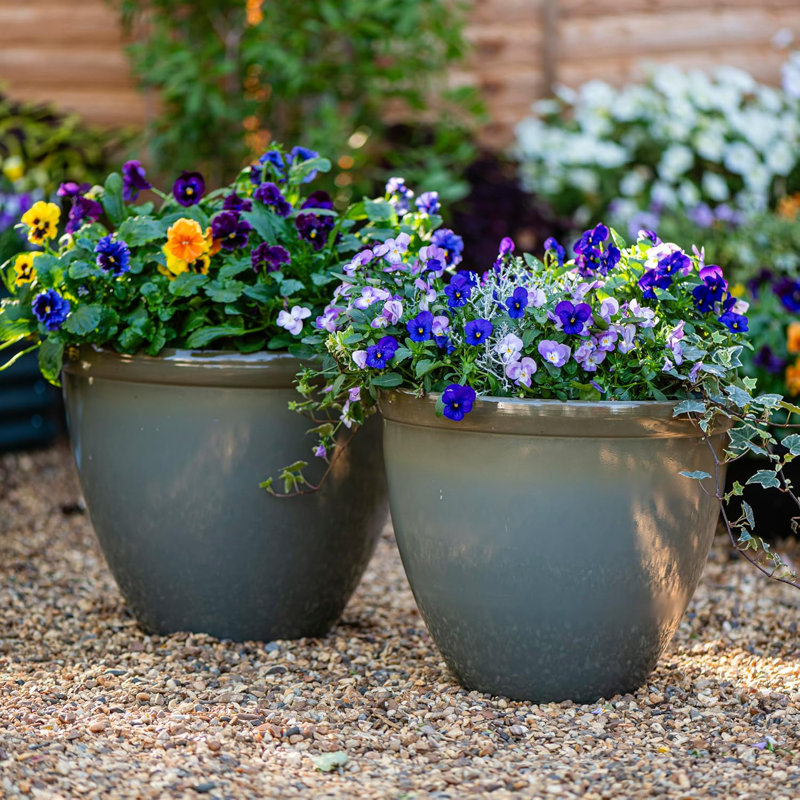 Cateena Pot Planter