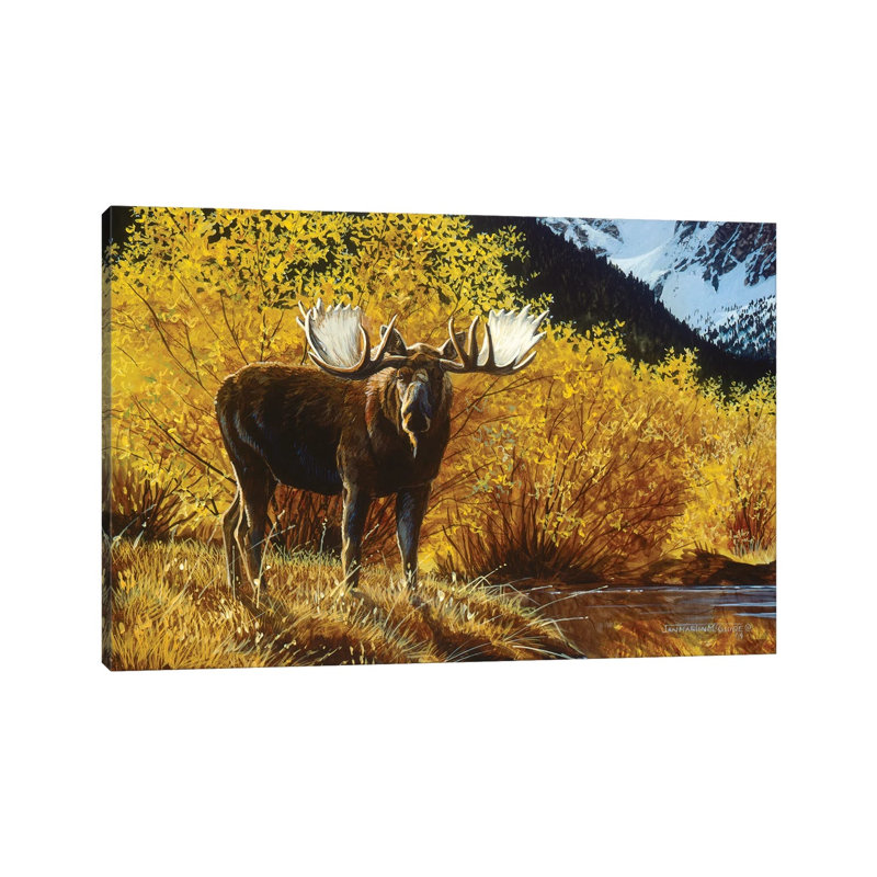 Moose IV by Jan Martin Mcguire - Wrapped Canvas Painting, 20.32 cm H x 30.48 cm W