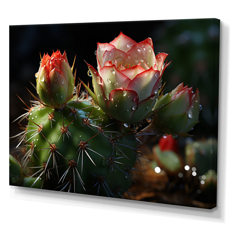 Champ de cactus vert et rouge - impression, H 30 po x l 40 po, Toile tendue