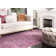 Chantae Performance Oriental Rug