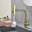 Dilon Colour Kitchen Faucet-101637396