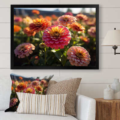 " Colorful Zinnias Field At Sunrise VI "