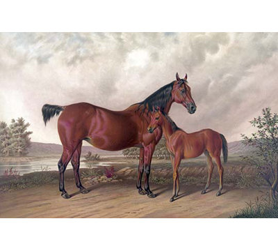 «Flora Temple and Her Colt», art mural