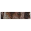 Joliet 3" x 12" Ceramic Wall Tile