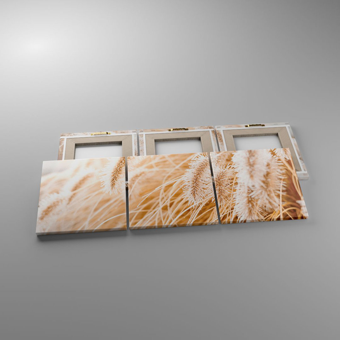 3-tlg. Leinwandbilder-Set Grass Boho Light