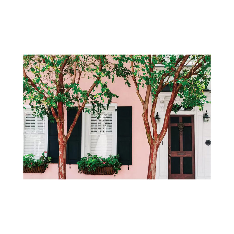 Charleston Pink XV par Bethany Young - reproduction de photo sur toile tendue, H 8 po x l 12 po x P 0,75 po