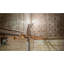 American Tin Ceilings 2 pi x 2 pi (24 po x 24 po) panneaux muraux et tuiles cloutées pour plafond - Étoiles répétées (ensemble de 5 - couvre 20 pieds carrés)-87408037