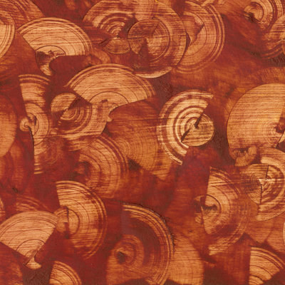 Nautilus In Rust I by Sharon Gordon - Wrapped Canvas Print