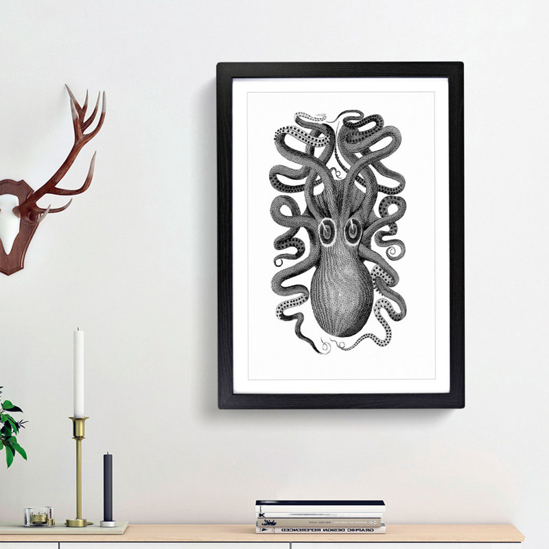 Octopus in Black and White by George Shaw - Picture Frame Drawing Print, Black Framed, 36cm H x 27cm W x 2cm D