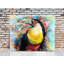 «Bird of Paradise» par Ryan James - reproduction d'art sur papier-577510715