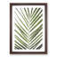 Plat Leaf - Picture Frame Graphic Art Print-56862932-56862928