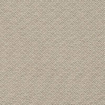 Epicurean Mottled Maze Fabric