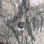 Esquisse d'un animal (bison), toile texturée embellie à la main-92362515