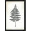 Tableau noir Fern II - Peinture-324080564-324080572