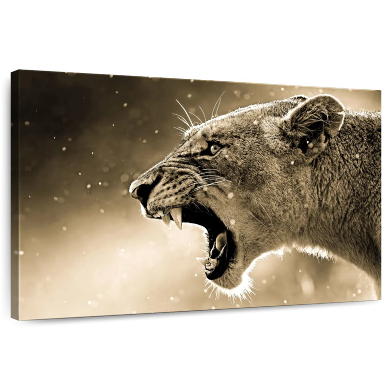 Brampt Enraged Lioness, 20" H x 30" W