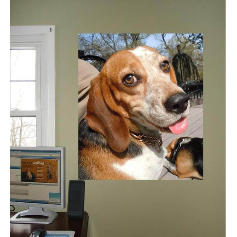 Goudy Animals Non-Wall Damaging Wall Decal, 48" H x 41" W