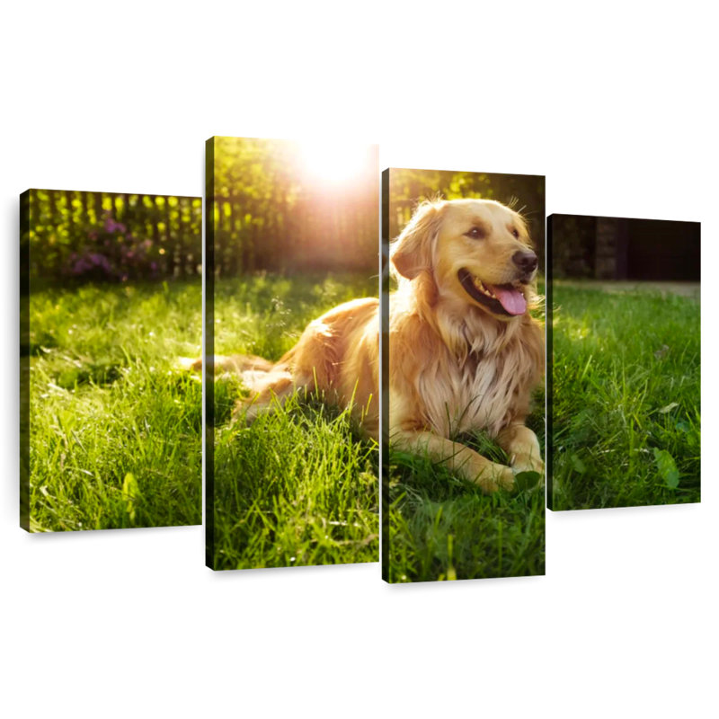 Sunny Golden Retriever, H 14 po x l 24 po