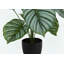 Plante artificielle, 24 po de haut, Calathea, intérieur, faux, faux, table, verdure, pot, touche réelle, décoratif, feuilles vertes, pot-1035965631