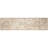Carmel Botanical Indoor/Outdoor Rug in Sand-615019027
