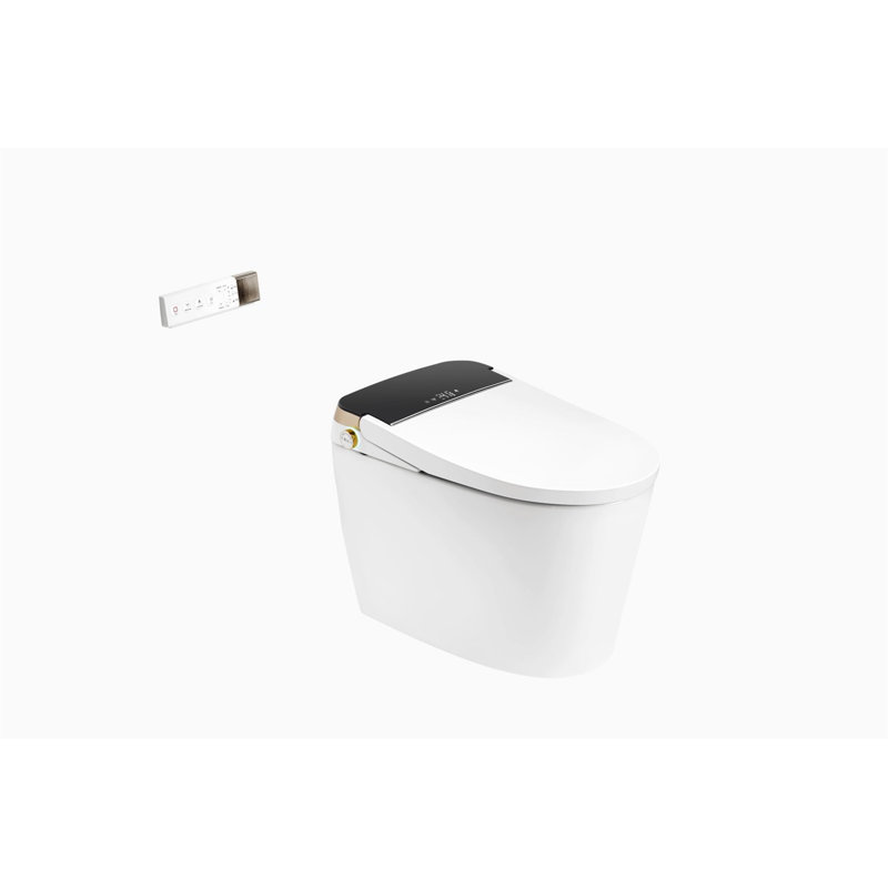 Toilette allongée à bidet au sol avec création GPF (siège inclus)