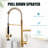 Double-Head Stainless Steel Kitchen Faucet With Pull-Down Nozzle, Single Handle High-Pressure Kitchen Sink Faucet-113377775